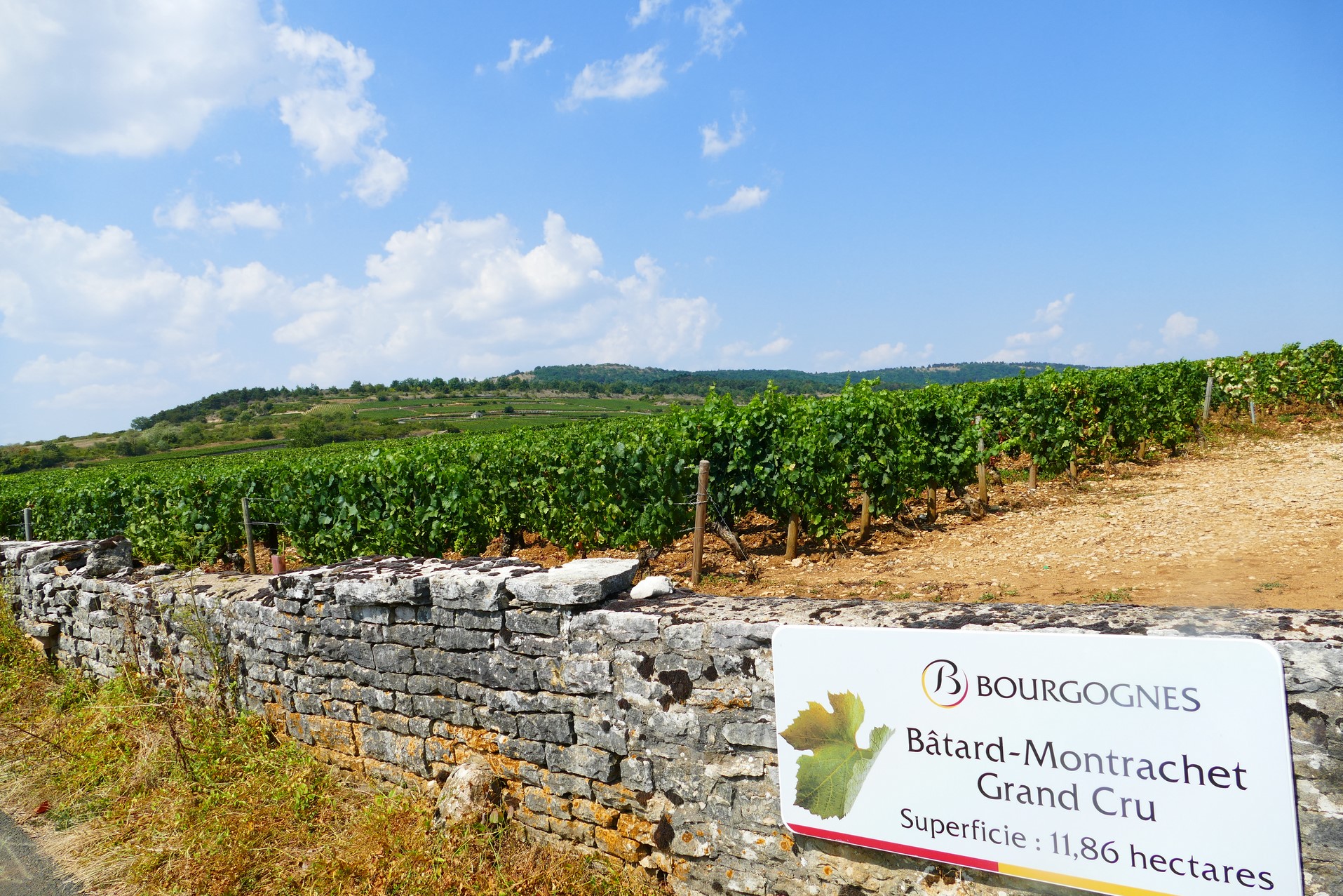 La Côte De Beaune Par La Voie Des Vignes - Voyages-en-France.fr